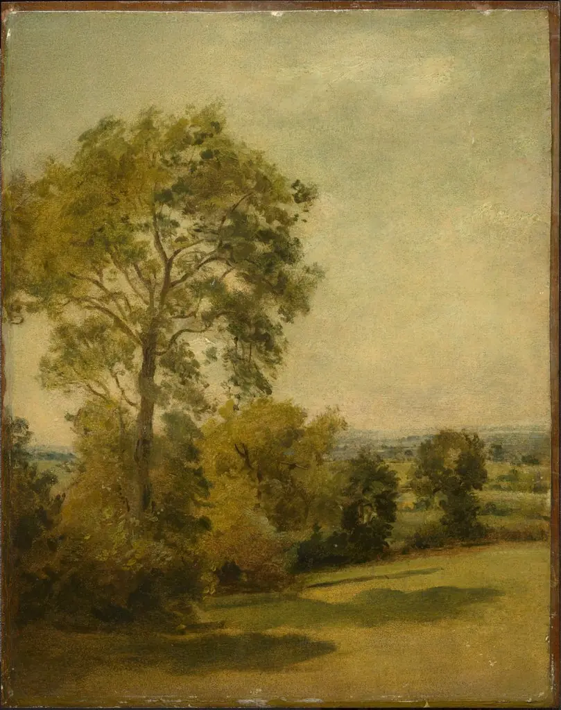Tree in a Landsdcape, by Lionel Bicknell Constable