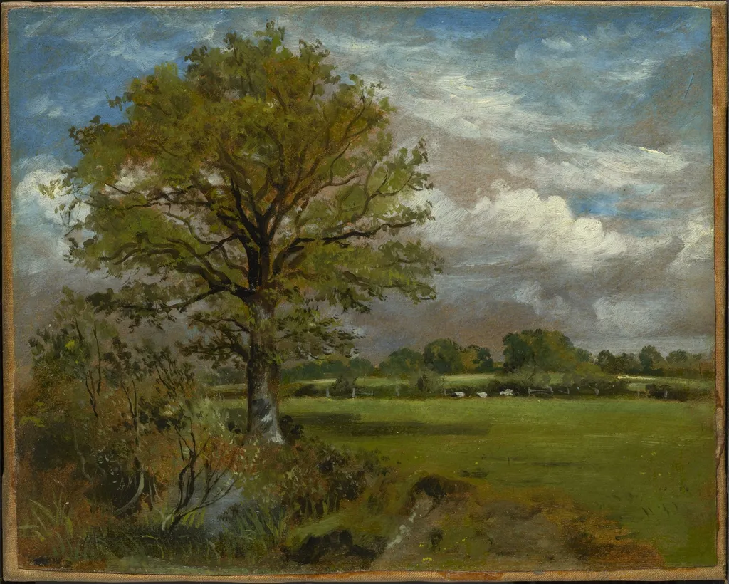 Tree in a Meadow, by Lionel Bicknell Constable, unspecified, 1850
