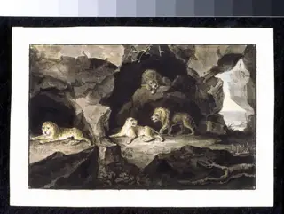 Lions and Lionesses