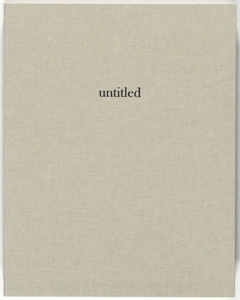 Untitled, by Liza Lou, ink, 2013