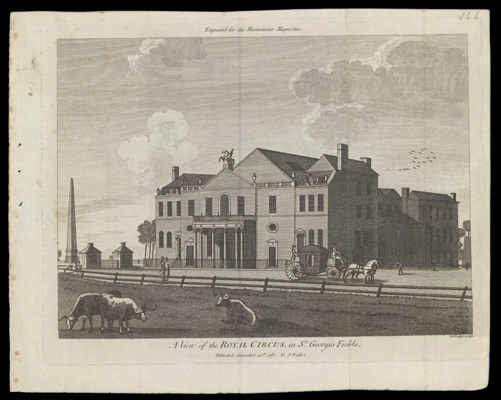 H Beard Print Collection, by Lodge, 30