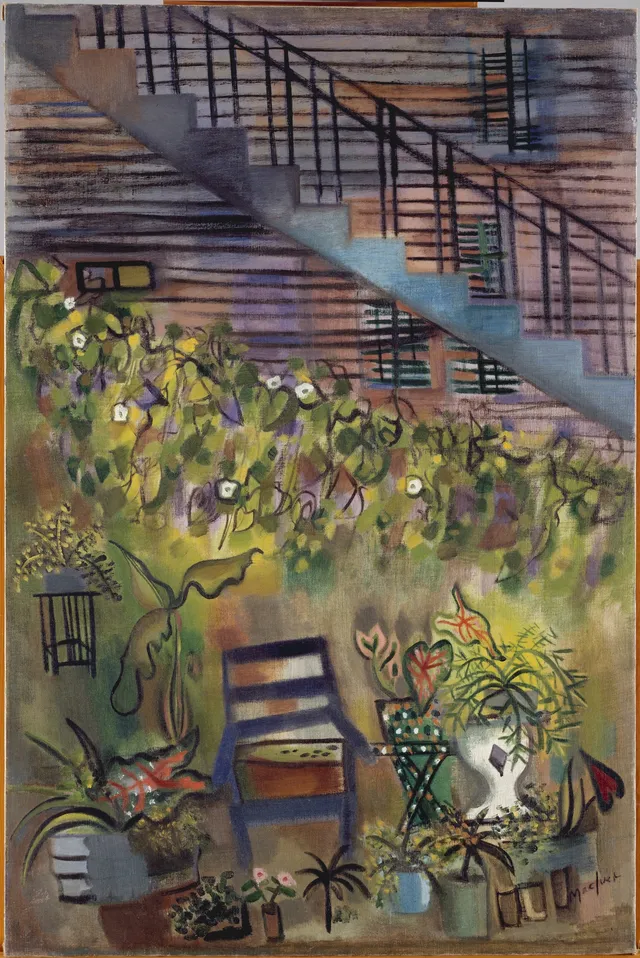 Carey's Backyard