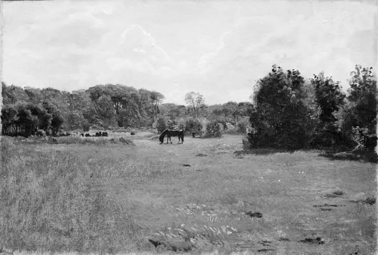 Meadow with a Black Horse Grazing, by Lorenz Frølich, unspecified, 1854