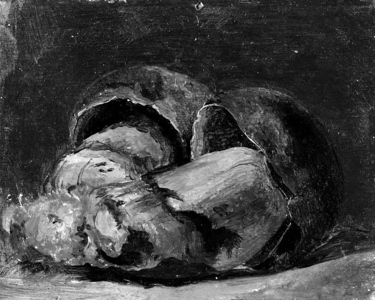 Two Boleti, by Lorenz Frølich
