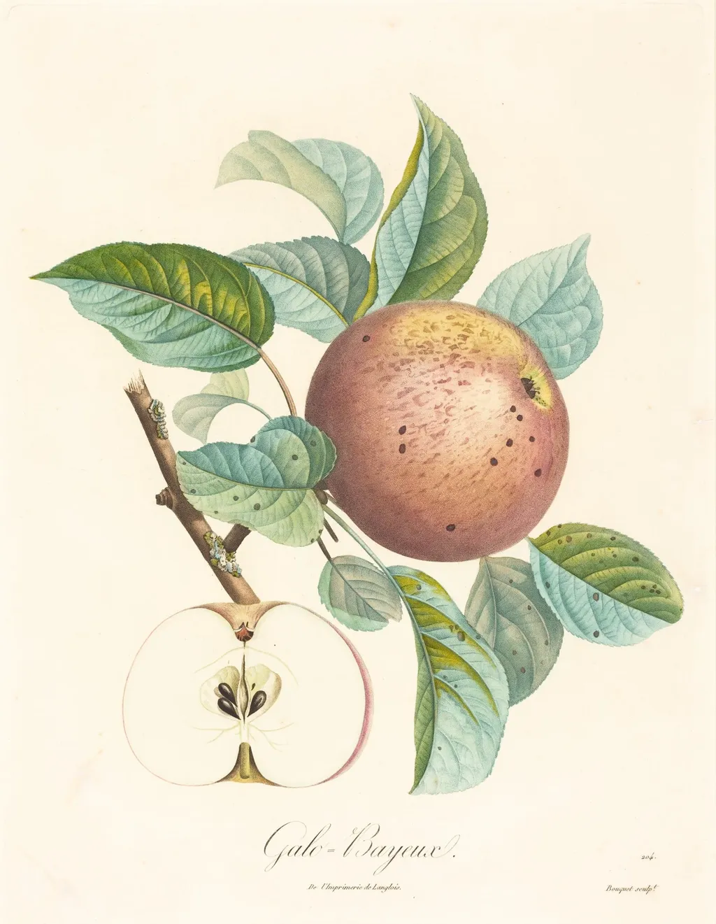 Galo-Bayeux, by Louis Bocquet, ink, 1725