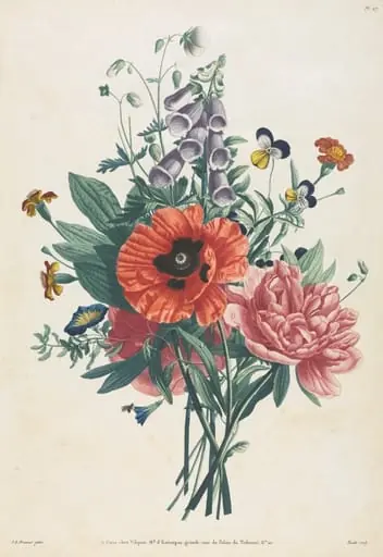 Collection of Flowers and Fruits Painted after Nature:  Bouquet of Foxglove, Clematis, Pansy, Peony, Poppy, and Yellow Day Lily, by Louis Charles Ruotte