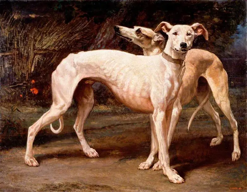 Two Greyhounds, by Louis Godefroy Jadin
