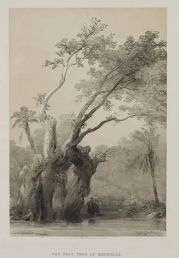 Egypt and Nubia, Volume III: The Holy Tree of Metereah, by Louis Haghe