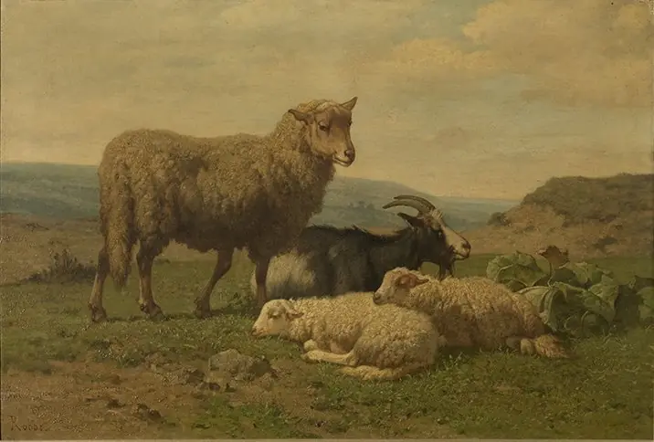 Kleinvee in het veld