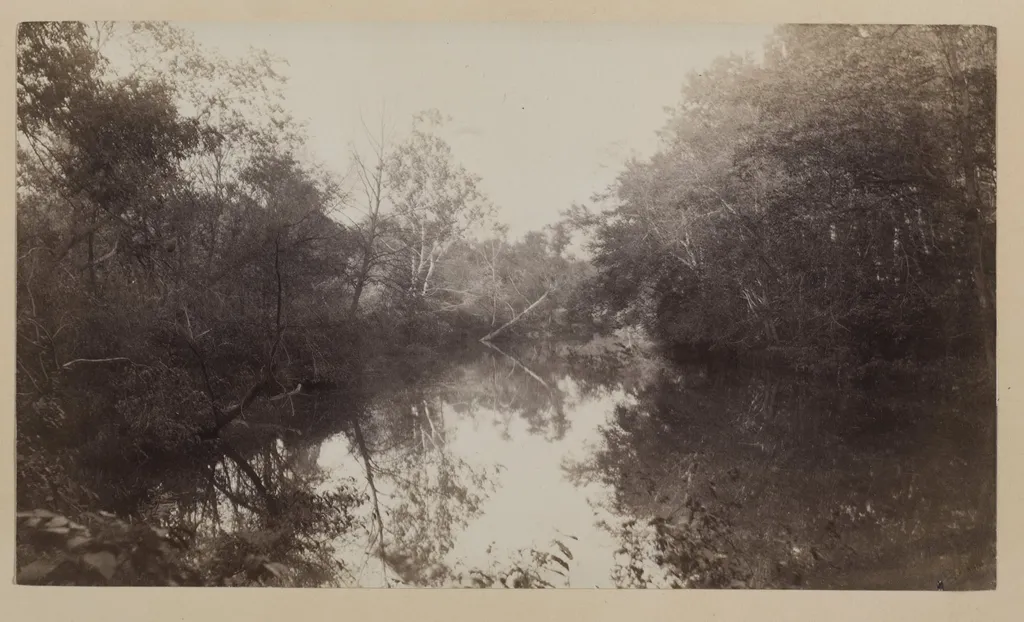 Avondale, by Louise Deshong Woodbridge, 1885