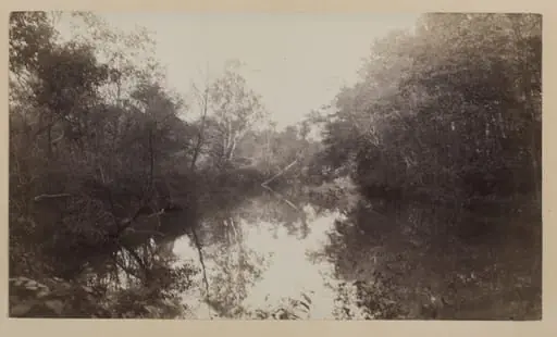 Avondale, by Louise Deshong Woodbridge