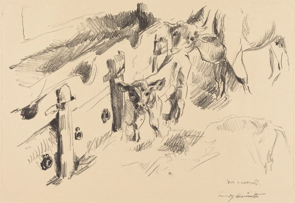 Kälber (Calves), by Lovis Corinth, ink, 1912
