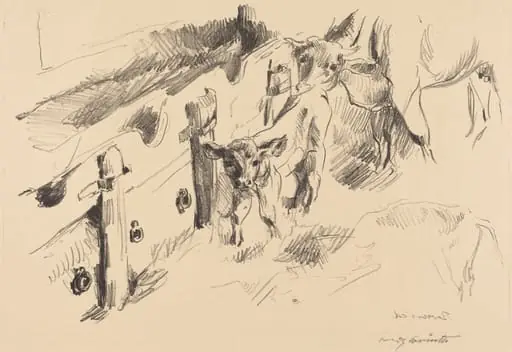 Kälber (Calves), by Lovis Corinth