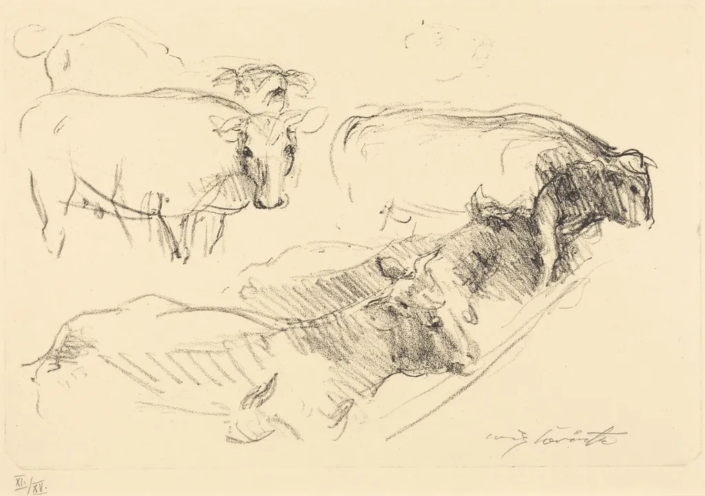 Kühe (Cows), by Lovis Corinth, ink, 1910