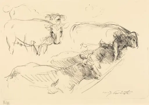 Kühe (Cows), by Lovis Corinth