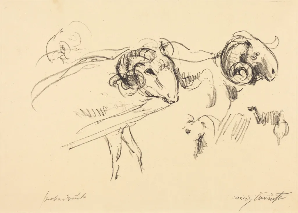 Schafböcke (Rams), by Lovis Corinth, ink, 1912