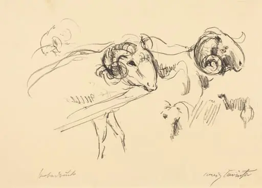 Schafböcke (Rams), by Lovis Corinth