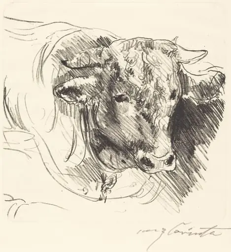 Stierkopf (Head of a Steer), by Lovis Corinth