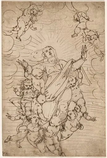 The Virgin in Glory, by Luca Cambiaso
