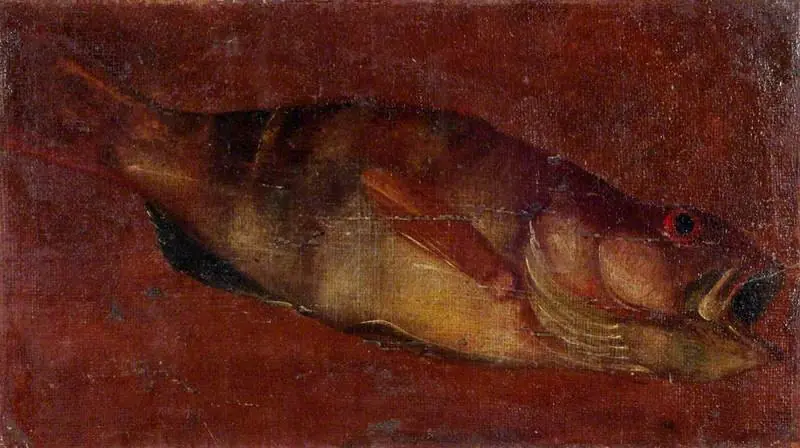 Study of a Fish