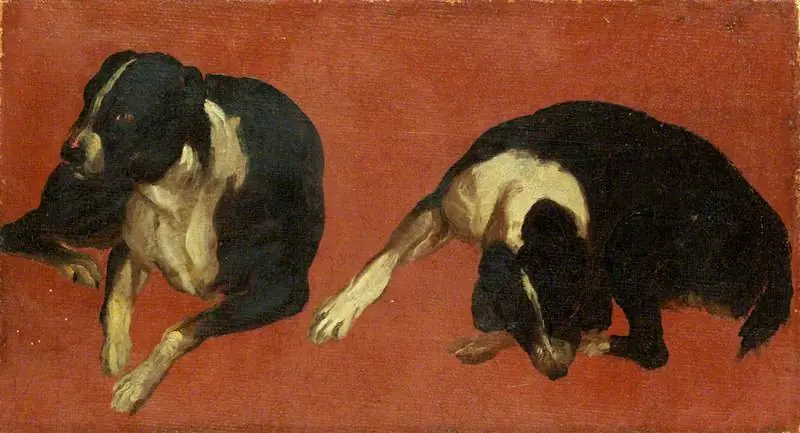 Two Studies of a Dog, by Luca Carlevarijs