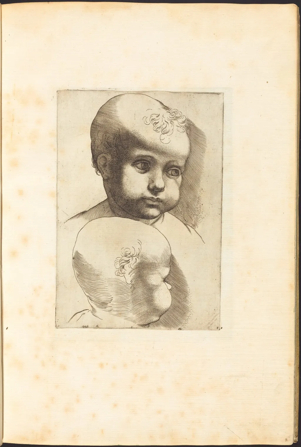 Print from Drawing Book, by Luca Ciamberlano, ink, 1615
