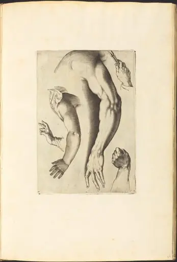 Print from Drawing Book, by Luca Ciamberlano