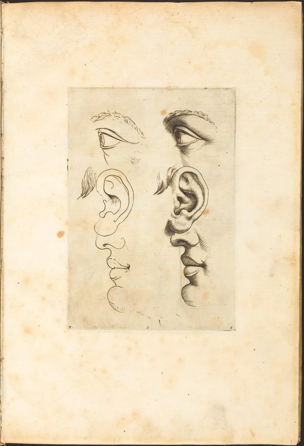 Print from Drawing Book, by Luca Ciamberlano, ink, 1615