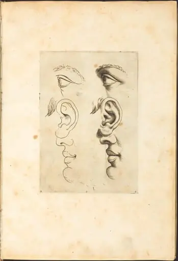 Print from Drawing Book, by Luca Ciamberlano