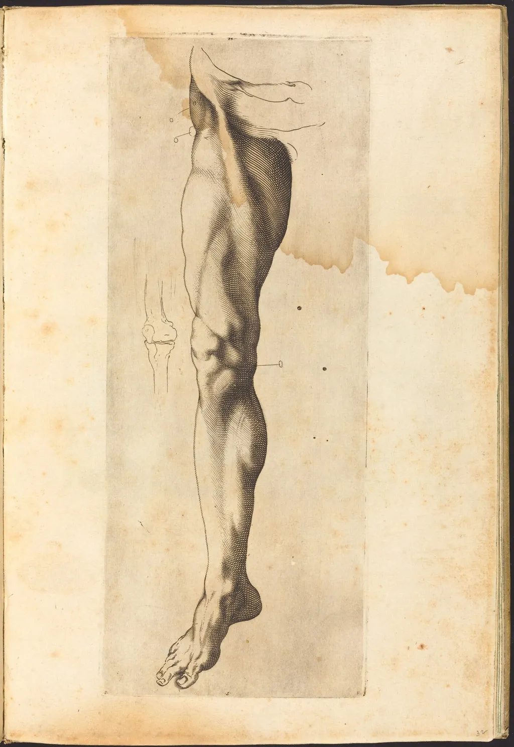 Print from Drawing Book, by Luca Ciamberlano, ink, 1615