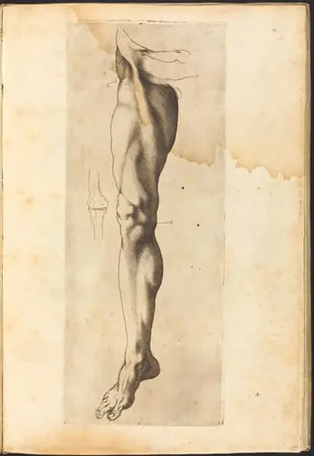 Print from Drawing Book