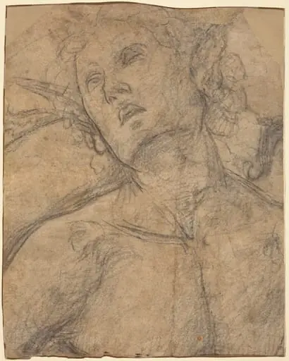 Bust of a Youth Looking Upward [recto], by Luca Signorelli