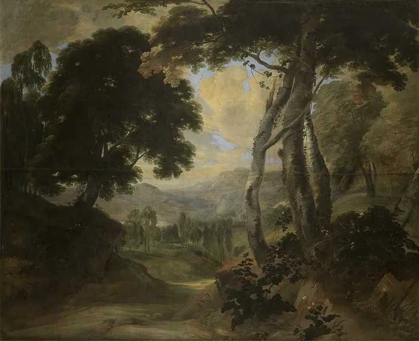 Wooded Landscape