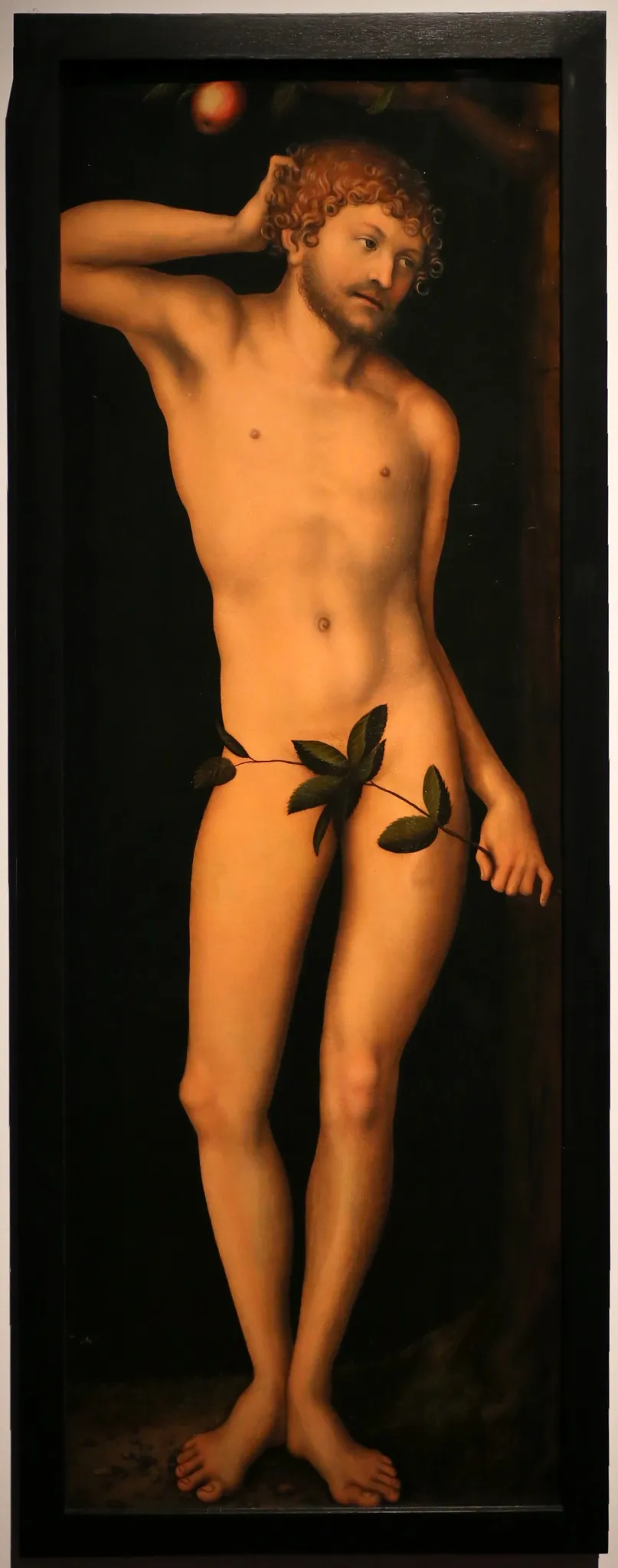Adam, by Lucas Cranach the Elder, oil, 1528