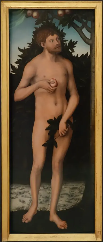 Adam, by Lucas Cranach the Elder