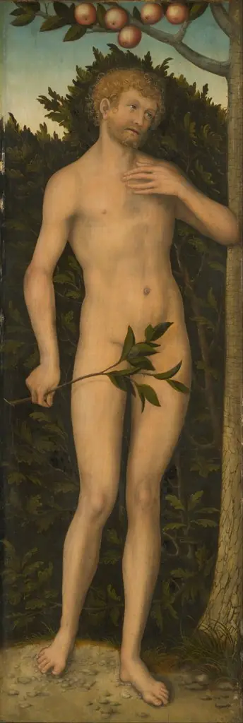 Adam, by Lucas Cranach the Elder