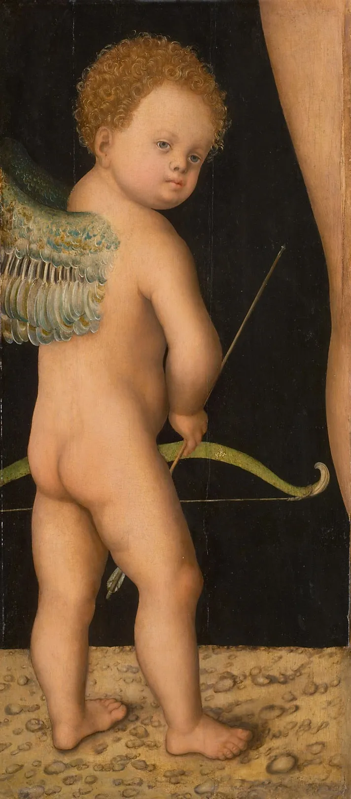 Cupid, by Lucas Cranach the Elder, unspecified, 1530