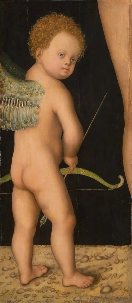 Cupid, by Lucas Cranach the Elder