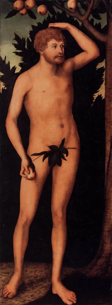 Adam, by Lucas Cranach the Younger