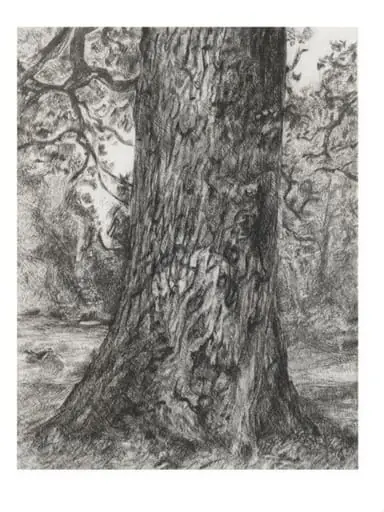 After Constable's Elm, by Lucian Freud