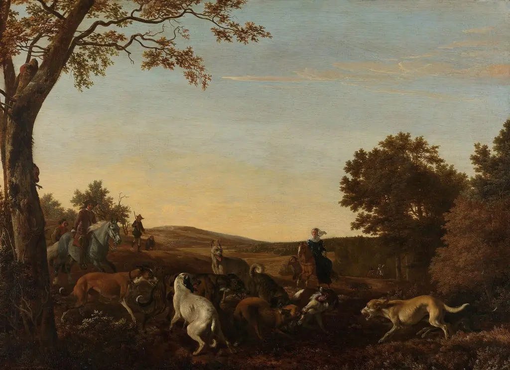 The fox hunt