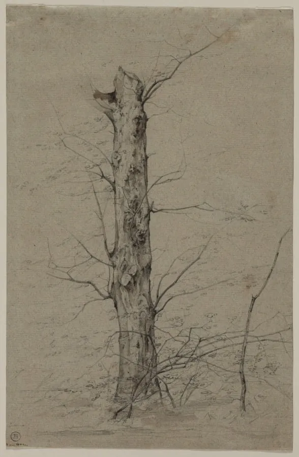 Tree, by Ludwig Ferdinand Schnorr von Carolsfeld, 1840