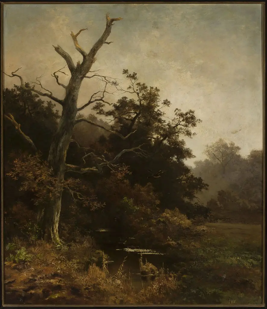 Withered tree on a river bank, by Ludwig Willroider