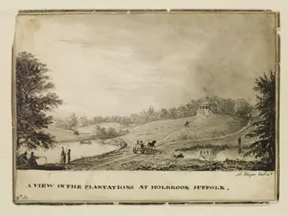 A view in the plantations at Holbrook Suffolk