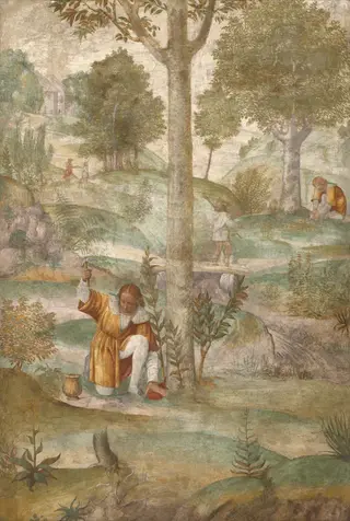 Cephalus Hiding the Jewels, by Luini Bernardino