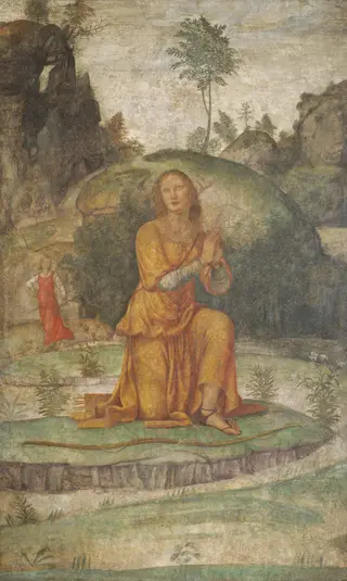 Procris' Prayer to Diana, by Luini Bernardino