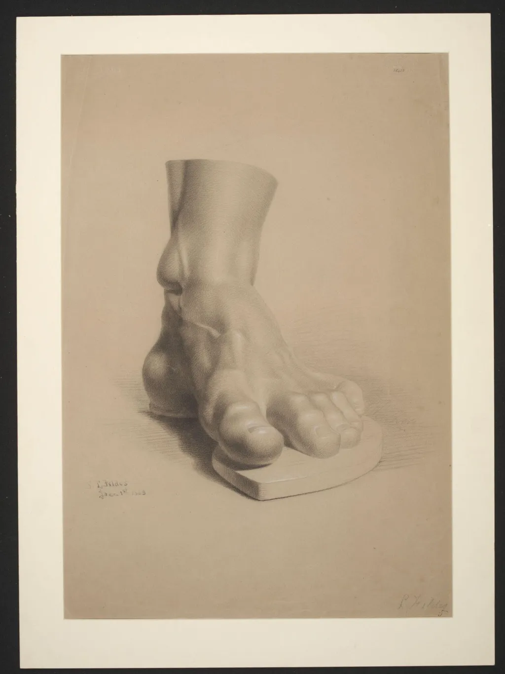 Study of a plaster cast of the foot of the Farnese Hercules, by Luke Fildes, 1863