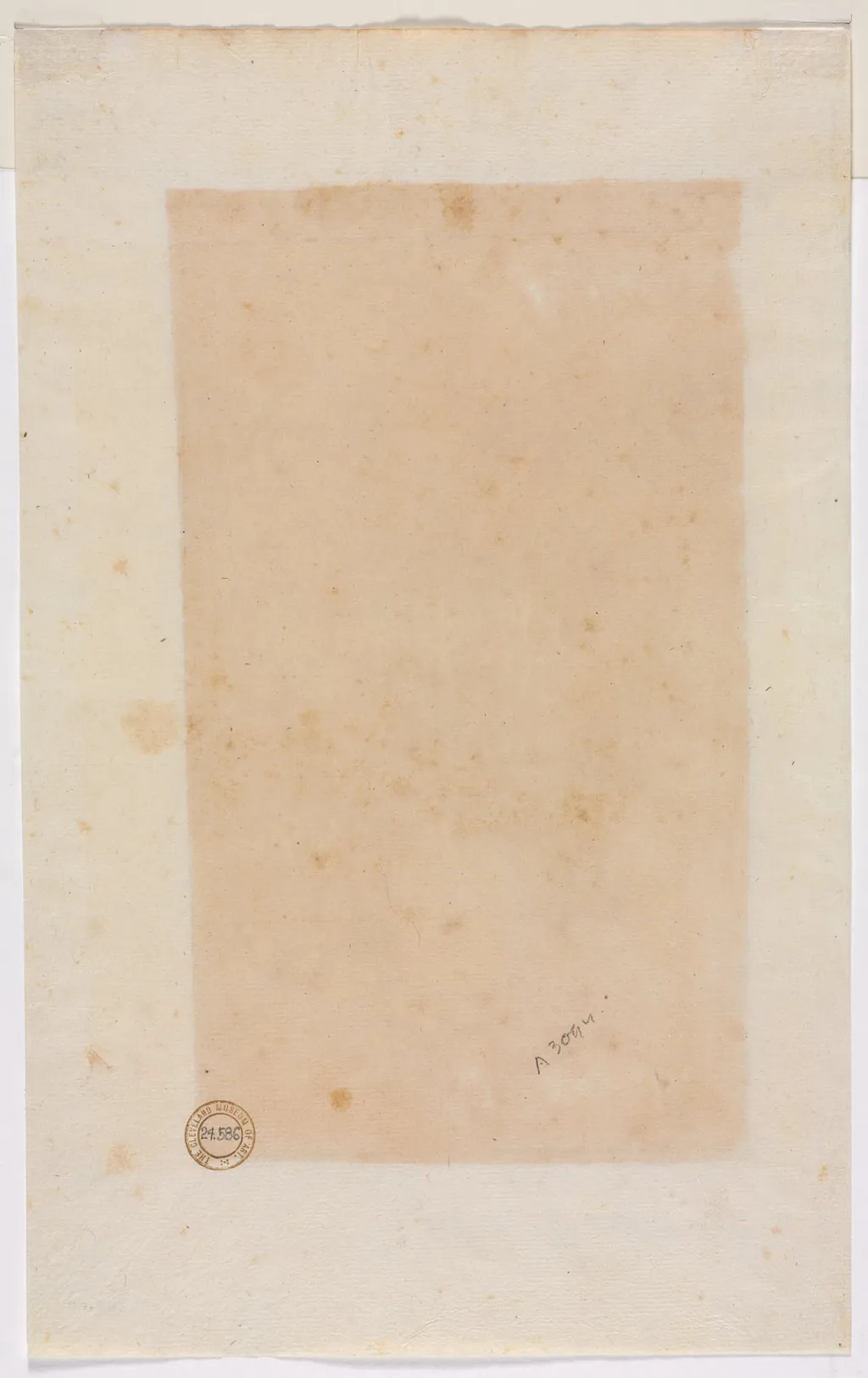 Border Lines (verso), by Luzio Romano, 1504