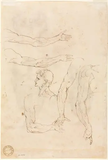Sketches of Five Arms and a Head (verso), by Luzio Romano