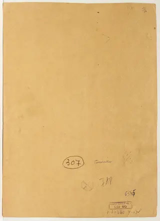 Caricatură, by M. Tacorian